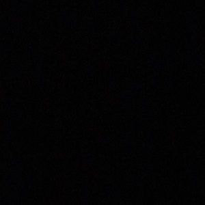 Meet your Posher, Gary